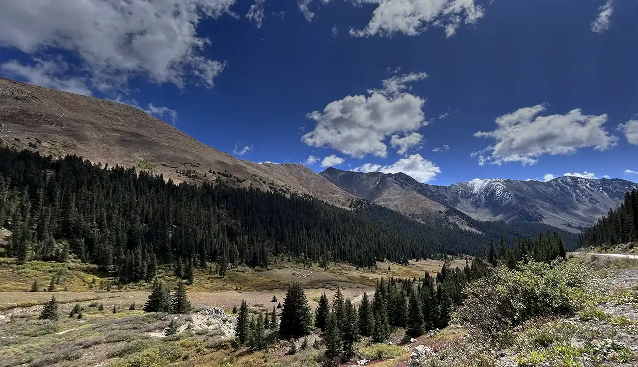 Wisdom Management, Colorado Springs, Communities, Information